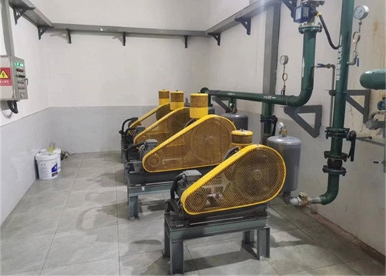 Low Noise  Integrated Rotary Blower For Environmental Treatment