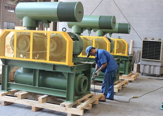 10" 80kpa 71.52m3/Min 132kw  Cast Iron Three Lobe Roots Blower