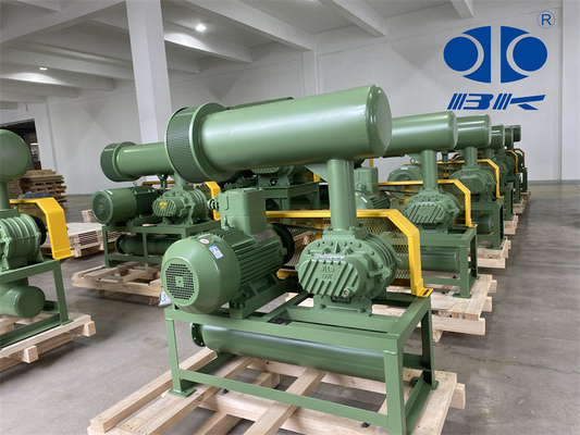 11kw 5.1m3/Min 60kpa Roots Rotary Lobe Blower 1750 Rpm Dn65 3" Small Capacity