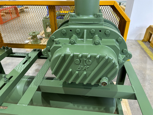 11kw 5.1m3/Min 60kpa Roots Rotary Lobe Blower 1750 Rpm Dn65 3" Small Capacity
