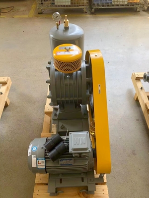 DN80 Rotary Air Blower , low noise waster water treatment blower