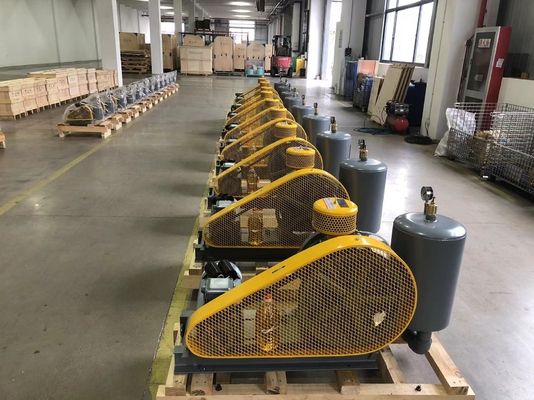 Low Noise Rotary Air Blower DN65 for High-speed Way Sewage Treatment
