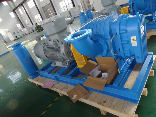 DN40 0.42-1.42 M³/min Stainless Steel Roots Blower For Special Gas