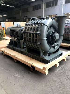 160m³/min Inlet Flow, Temp. 20℃, 2950 r/min Speed,167-280 Kw Shaft Power, Multi-stage chemical Industry Centrifugal Blower