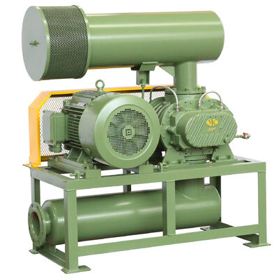 BKW4007 Water Cooled Roots Blower DN50 100KPA for Wastewater Treatment