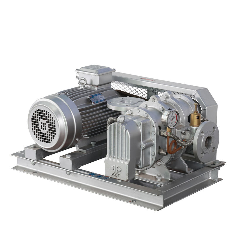 BX100  4'' 3.18-11.74 m³/min 0.1-0.7 kgf/cm² BX Series Stainless Steel Roots Blower