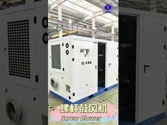 BLG Screw Roots Blower