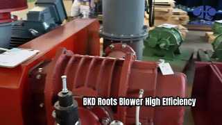 BKD Roots Blower