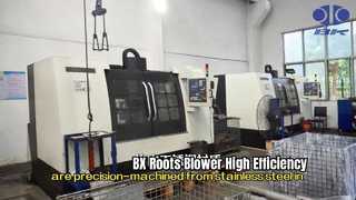 BX Roots Blower