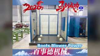 Roots Blower